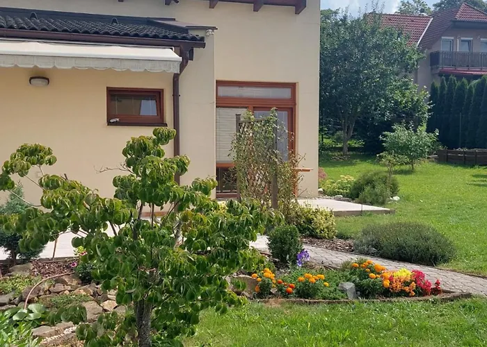 Stipa Zlín